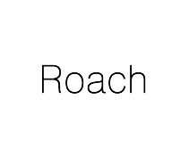 Roach